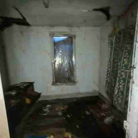 8031 conger (21).jpg